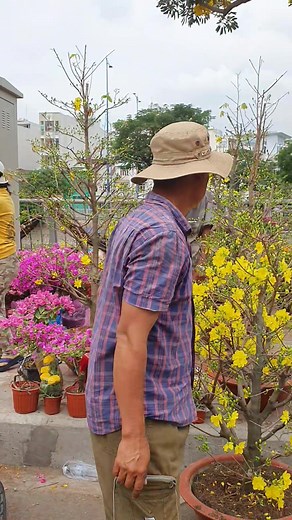 161K views · 1K reactions | Chợ Hoa Xuân Trưa 29 Tết | Saigon Travel | Facebook