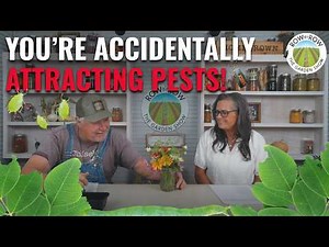 Top Garden Pests Right Now (And Exactly How to Stop Them)