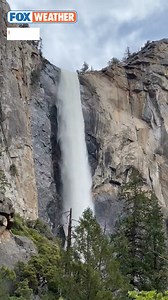 WATERFALLS IN YOSEMITE: Waterfalls in Yosemite National Park were gushing with water over Memorial Day Weekend, footage by a visitor shows. Runoff from melting record-breaking snowpack made rivers in the park rise and caused flooding concerns. #yosemite #yosemitenationalpark #yosemitevalley #yosemitefalls | FOX Weather