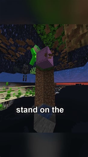 shulker secret!!!!!!!!!!!!!!!!!!!!