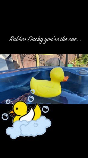 Rubber Ducky you‘re the one… 🐤