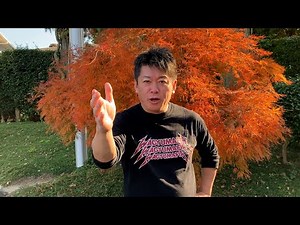 オリックスがDHCを3000億円で買収する件について解説します