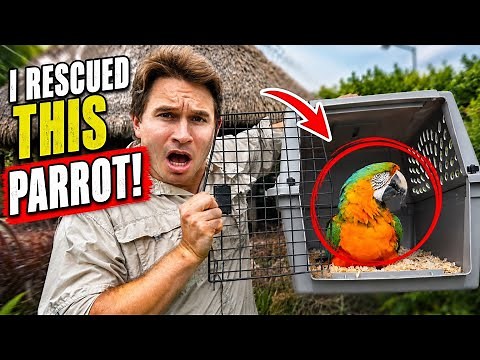 This PARROT Needed a SECOND CHANCE at LIFE!