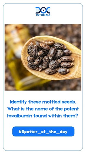 Spotter of the Day | Identify these mottled seeds. | MBBS
