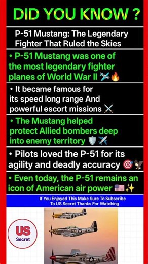 Why the P-51 Mustang Terrified Enemy Pilots
