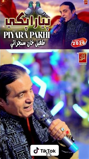 Piyara Pakhi – Tufail Khan Sanjrani | Latest Sindhi Song 2026 | Azad Production Official Video