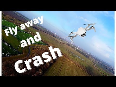 DJI Mini 2 Fly away and Crash