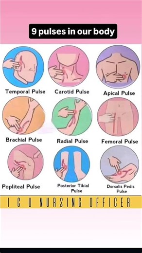 Pulses in our body | मानव शरीर में हम कहां से Pulse Check कर सकते हैं #pulse #pulsepoint #shorts