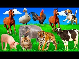 Animal sound for kids 🐶🐈‍⬛🐘🦒🐧🐱 Cute Animal Sound Learn Wild and Farm Animals