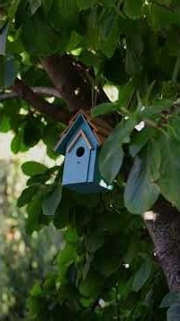 Python's True Depths: Beyond Syntax