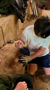 Turtle Island Preserve on Reels | Facebook