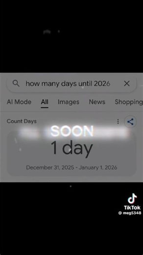 credit:@meg5348 (tik tok) goodbye 2025... hello 2026