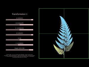 Fractal generation using IFS | Processing