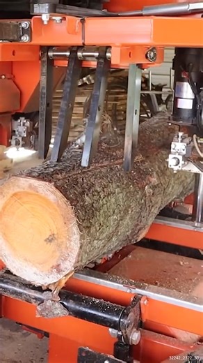 56K views · 720 reactions | The PERFECT Log For Lumber #Sawmill #MakingLumber #MillingLumber #HomemadeLumber | Out of the Woods Forestry | Facebook