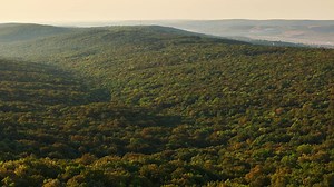 424 reactions · 58 shares | La Orange creştem şi dezvoltăm o afacere...