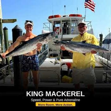🐟 Shared Charters: Chase trophy fish without private prices! Join us!