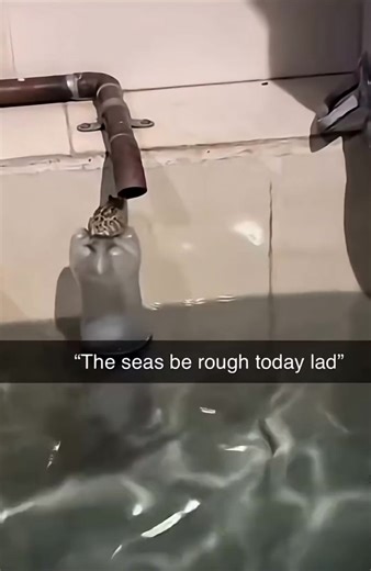 Your Typical Local Man (@LocalBateman) on X