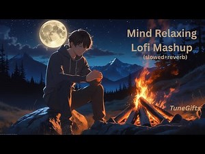 Romantic Hindi Lofi Mashup 2025 | Bollywood Love Songs Mix | Slowed + Reverb Vibes Playlist