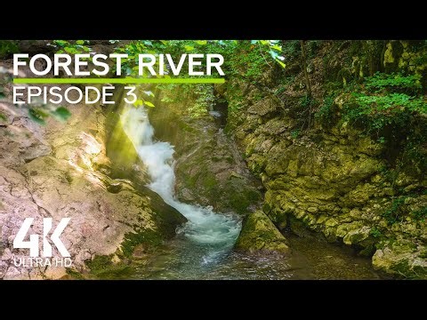 Calming Water Flow Sounds & Bird Chirping - 4K Summer Serenity of a Sunlit Forest River - Ep 3