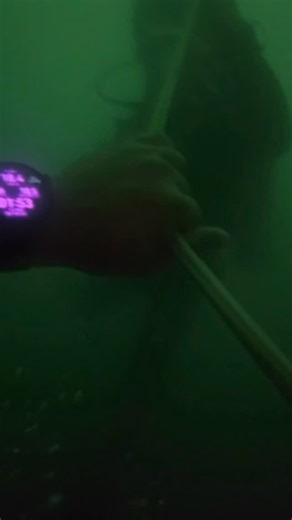 今日1️⃣次過💪🏻💪🏻 砌曬3️⃣個專長✅✅ DM課程必須擁有💯 - 深潛🤿 - 水底導航🧭 - 夜潛🔦 😛😛我左手帶Freedive Mode既⌚️ 👉🏻右手戴咗D5 架🤪(唔好執我雞😇) 因為GT6 Pro 個指北針實在太正😍😍 #oxygendiving #學潛水 #潛水課程 | Oxygen-Diving