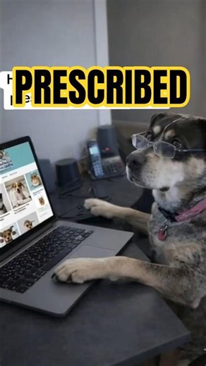 My Dog Hacking Her Vet Records 😂
