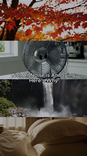 🎶 Not all noise is distracting — some sounds can calm your mind and improve your sleep. 🌙 Do you use a sonic hue to unwind at night? 🔗 https://bit.ly/4t17Pai Before you read it, we reviewed it. Post Fact Checked By: [Healthline Medical Standards & Insights team Post Review Date: 1/26/26 Article Medically Reviewed By: Nick Villalobos, MD Article Review Date: 10/20/24 Source: Author, A. A. (2024, October 24). What Is Pink Noise and How Does It Compare with Other Sonic Hues? Healthline. https://