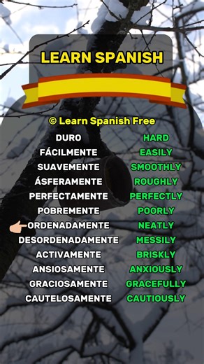 Basic Spanish phrases for beginners Beginner in Spanish? Subscribe to level up fast! #learnspanish #spanischlernen #apprendrelespagnol#spanish #español #spain #language | Learn Spanish Free