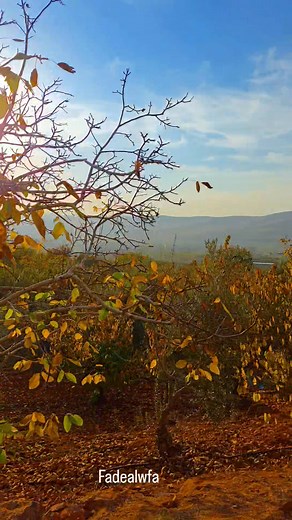 4.8K reactions · 188 shares | Fade Alwfa on Reels | Facebook