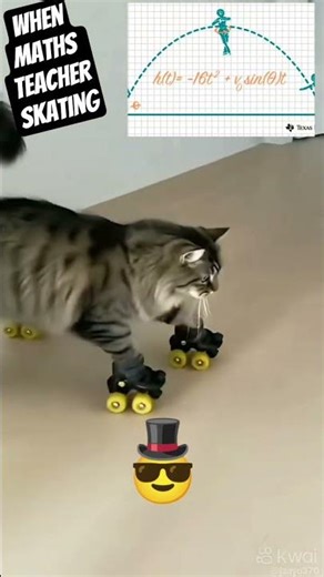 #cat #mathematics #maths #studywithmeandmycat #pets #funny #mathsquestion #catvideos