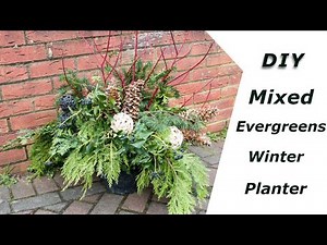 How To Make a Winter Planter / DIY Winter Outdoor Porch Pot
