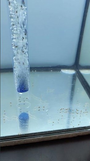 DIY Fish poop collector | DIY Siphon for fish tank #aquarium #diyaquariumfilter #tankfilter #diy