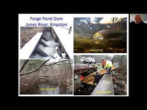 The Herring are Running Migratory Fish Restoration in Massachusetts with Brad Chase