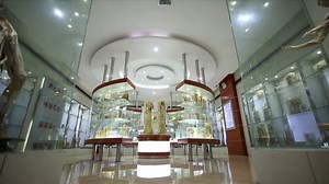 1.8K views · 96 reactions | How could modern technology help in research on traditional Chinese medicine? Follow Xinhua correspondent Chen Yushan and Anne Praxede, a Cameroonian student, to an innovation center in Jiangxi, east China, to find out the answer. #GLOBALink | China Xinhua News | Facebook