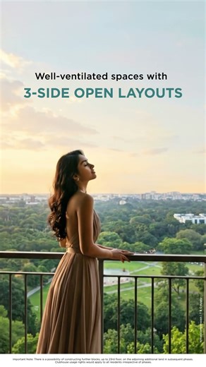 Merlin Avana : A Whole New Expanse