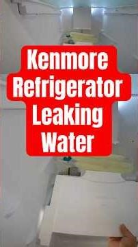 Kenmore Refrigerator Pooling Water under Vegetable Drawers
