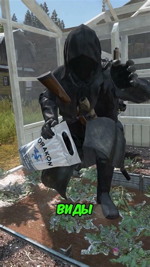 ON THIS SERVER you'll HAVE TIME for EVERYTHING #dayz #dayz #pvp #survival #gaming
