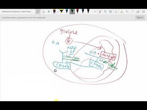 Lipid metabolism - Lec.4.1 - Fatty acids synthesis