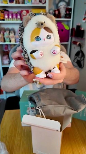 NEW MOFUSAND BLIND BOXES