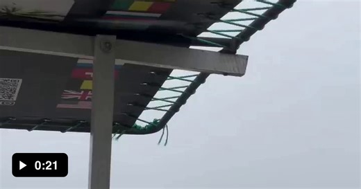 Absolute unit of a crocodile. Even when humanity perishes, they will live on. - Video