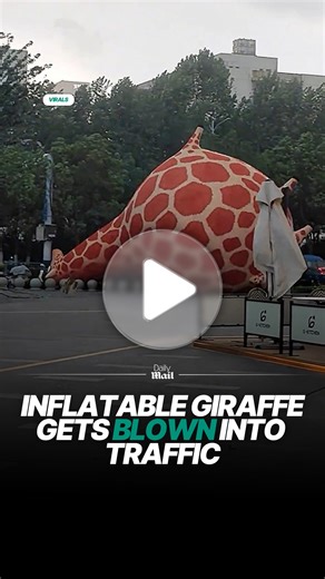 Inflatable giraffe blows into traffic during windy conditions