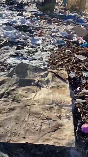 94K views · 765 reactions | got sent to secure this place and this is what I found.. these people got evicted and just left their dogs and the worst mess .. 臘‍♂️ could literally make a TV episode about this line of work. No joke. Crazy part is the things I’m not allowed to post could really mess a persons mind up  #queencity #Regina #followersreelsfypシ゚viralシfypシ゚viralシalシ #fbyシvideo #hauling #abandoned #animallover | Matthew Wesley | Facebook