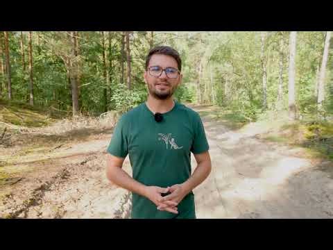 ROLA WSI SEZON 1 ODC.8