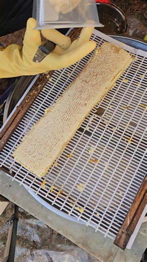 3.9K views · 16 reactions | Old honeycomb cutting khmer farm. | Phary BeeKeeper | Facebook