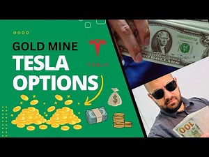 Tesla Options What a Gold Mine!!!