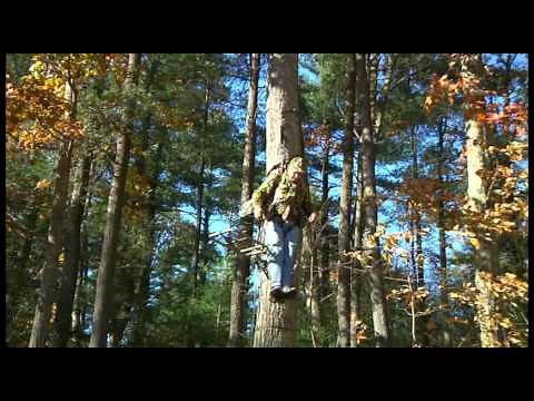 Fell from a Treestand - Now What?