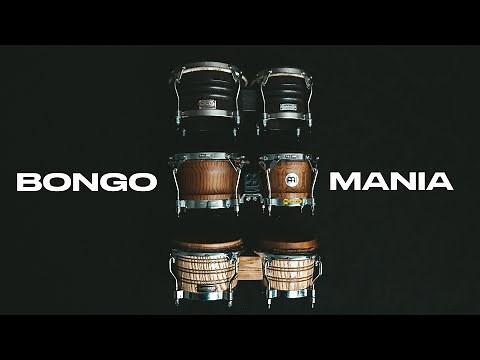 A Bongo Blind Tasting | LP | Meinl | Moperc