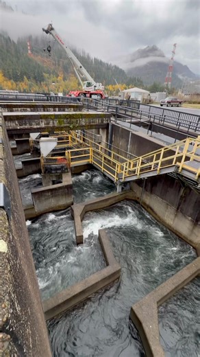 FISH LABYRINTH: See two types of fish ladders at Bonneville Dam, Cascade Locks, OR. #roamingbenji