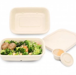 [Hot Item] Biodegradable Sugarcane Bagasse Pulp Paper Food Container Compartment Disposable Lunch Box Tray with Lids