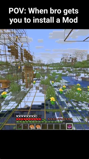 When bro gets you to install a Mod