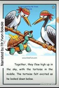 The flying tortoise's lesson